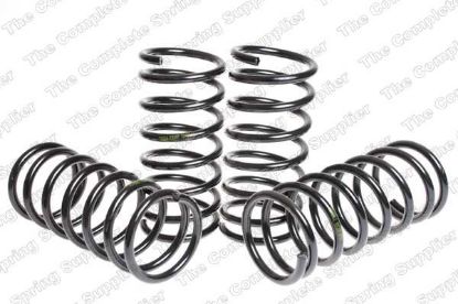 Suspension Set, springs madaldus Ford FIESTA 1,