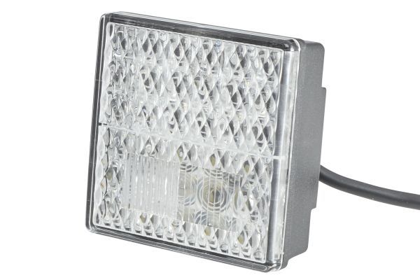 Tail Light Assembly -
