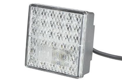 Tail Light Assembly -