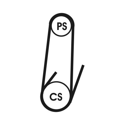 V-Ribbed Belt PSA - 6453.XY