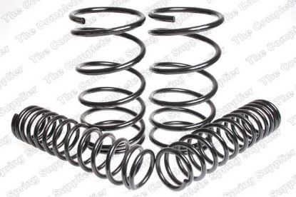 Suspension Set, springs madaldus Mitsubishi CA
