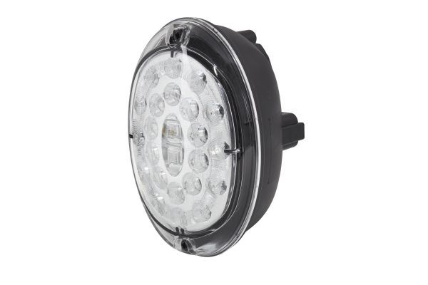 Tail Light Assembly -