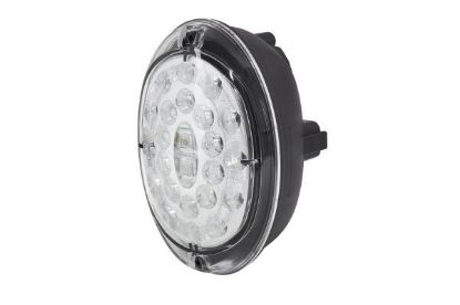 Tail Light Assembly -