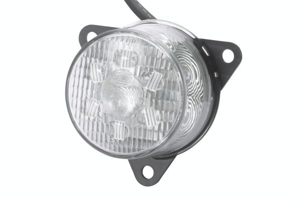 Tail Light -