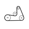 V-Ribbed Belt VOLVO - 30616942