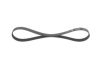 V-Ribbed Belt -