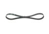 V-Ribbed Belt -