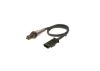 Oxygen Sensor -