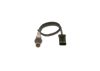 Oxygen Sensor -