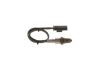 Oxygen Sensor -