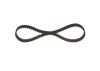 Timing Belt -