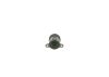 Control Valve, fuel quantity (common rail system) -