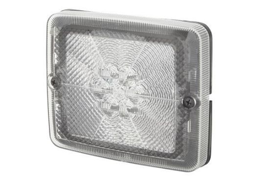 Reverse Light -