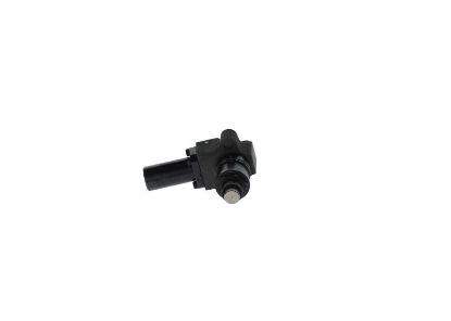 Unit Injector (UI) -