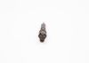 Nozzle and Holder Assembly -