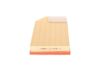 Air Filter VOLVO - 8638600