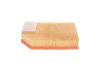 Air Filter VOLVO - 8638600