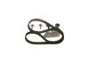 Timing Belt Kit -