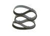 V-Ribbed Belt -