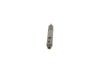 Nozzle and Holder Assembly -