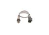 Oxygen Sensor -