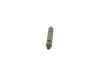 Nozzle and Holder Assembly -