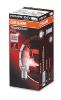 Bulb, direction indicator P21/5W BAY15d Truckstar Pro