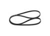 V-Ribbed Belt -