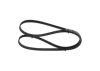 V-Ribbed Belt -
