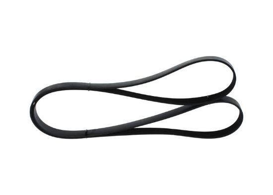 V-Ribbed Belt MERCEDES-BENZ - 002 993 50 96 - 7PK2005