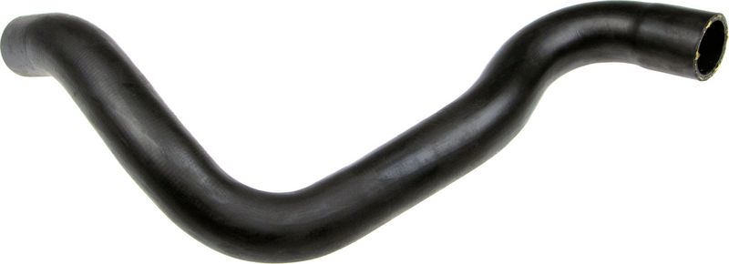 Radiator Hose -