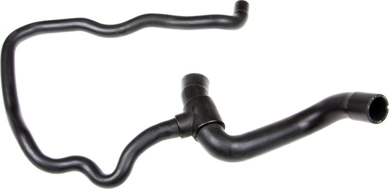Radiator Hose -