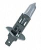 Bulb, spotlight H1 SUPER +30% 55 W