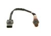Oxygen Sensor -