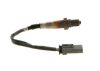 Oxygen Sensor -