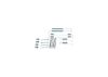 Accessory Kit, brake shoes -