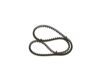 V-Belt 10X990