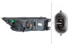 Front Fog Light -