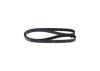 V-Ribbed Belt -