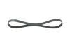 V-Ribbed Belt -