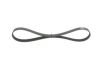 V-Ribbed Belt -