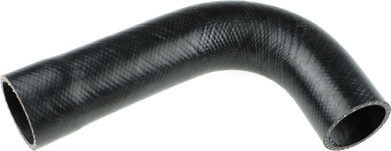Radiator Hose -