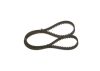 Timing Belt -