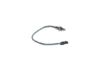 Oxygen Sensor -
