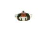 Alternator Regulator -