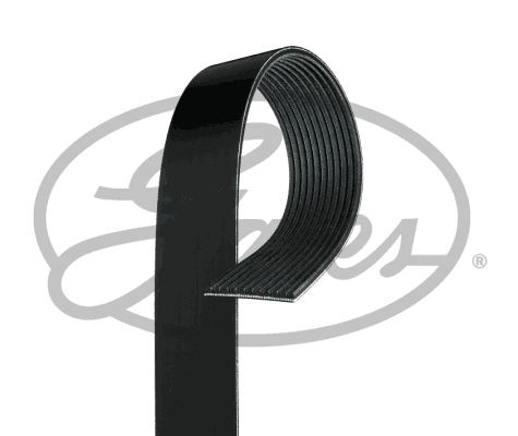 V-Ribbed Belt -