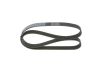 V-Ribbed Belt -