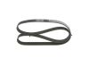 V-Ribbed Belt -