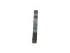 V-Ribbed Belt -
