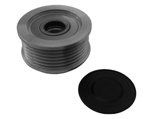 Alternator Freewheel Clutch -